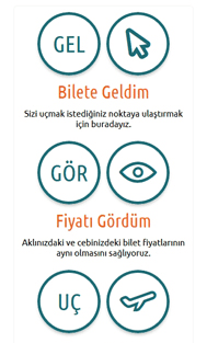 Veni Vidi Bilet  Mobile Screenshot